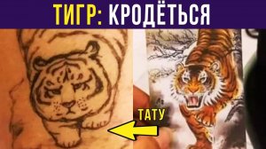 ОПАСНЫЙ ТИГР))) Приколы