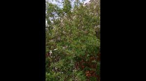 🍓УтрЕнНиЙ ВлОг С лИаМом🍓