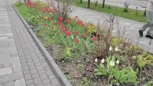 СПАСИБО ЗА УЧАСТИЕ В ЧЕЛЛЕНДЖЕ И В КОНКУРСЕ