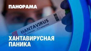 Новый смертельный вирус — Хантавирус! Что о нем известно и как идёт эвакуация пассажиров с лайнера?