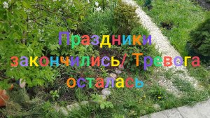 Праздники закончились/ Тревога осталась