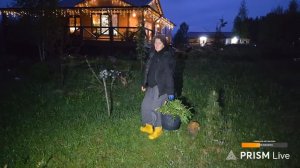 Запись стрима с ютуба 10.05.26. Прогулка с Псом Кубиком и мои бубубу