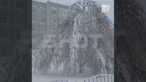 90-летний рекорд побит: ХМАО завалило снегом по колено