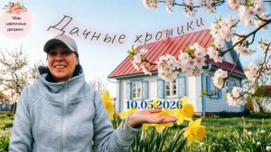 ДАЧНЫЕ ХРОНИКИ | ПОЕХАЛИ! Первый выезд 2026!