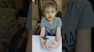 топ шесть самых необычных ручек