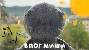 МИШАНИН ВЛОГ 🎥 🩵
басики#басята #игрушки#мультик для детей #