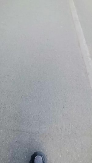лх