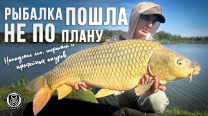 Карповая рыбалка пошла не по плану - Нападение лис, шершней и трофейных амуров
