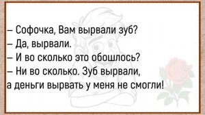🤣Стоит_Девушка_На_Остановке_Смешные_Анекдоты,_Для_Отличного_Настроения!