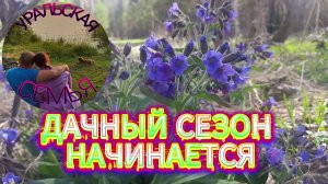 Копаем грядки, топим печь, гуляем с собакой.
