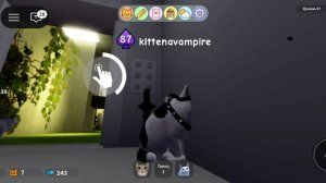 как получить в роблокс в игре «игра с котятами» кота А?