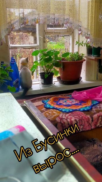 Мой любимый Бусик❤️