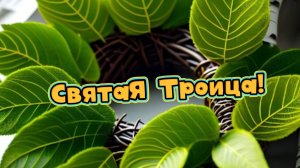 Красивое Поздравление со Святой Троицей! Святая Троица! | Домохозяйка