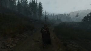 The Witcher 3 (Music Ambience Taking a relaxing walk To Oxenfurt)