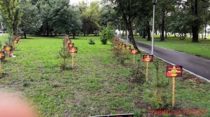 Приглашаю вас в парк Победы в Уфе