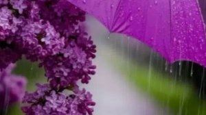 12-05-2026. Глаза боятся,а руки делают.