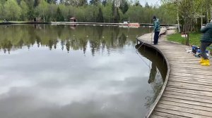 Вываживание крупного Осетра