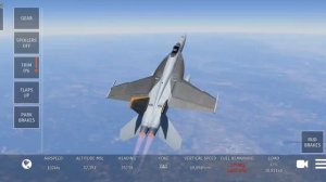 Infinity flight beta version под музыку