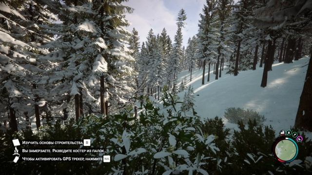 SonsOfTheForest 2026-05-10 16-02-26-119