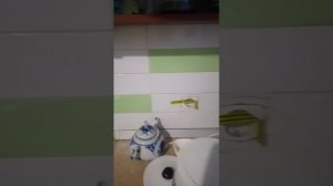 готовлю чай