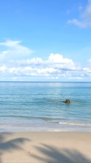 Возвращение энергии ☁️ Горизонт воды 🏝️ Лёгкий ветерок 🏖️