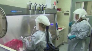 Хантавирус подтвердился у француженки и американца, эвакуированных с круизного лайнера Hondius.