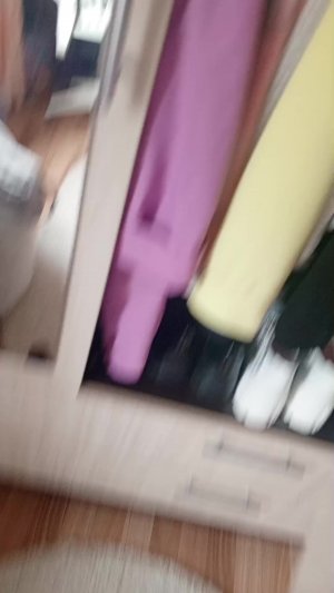 влог