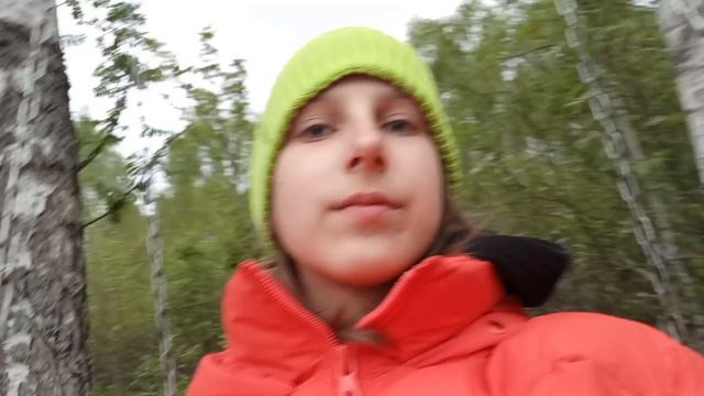 Природа и качели