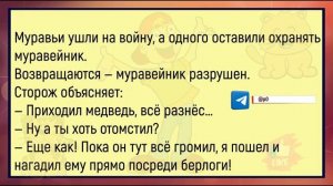 🤣Папа_С_Маленькой_Дочкой_Отдыхают_На_Море_Большой_Сборник_Анекдотов