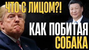 Это какой то позор! Остались считанные дни. Дядя Сэм у разбитого корыта