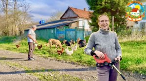 Простая жизнь в деревне и самая бесполезная покупка.