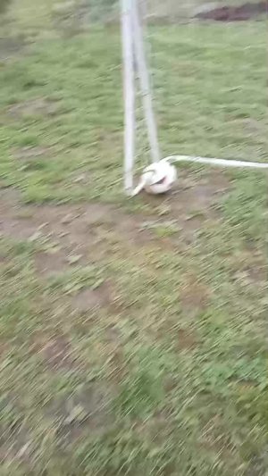 Играю в футбол ⚽