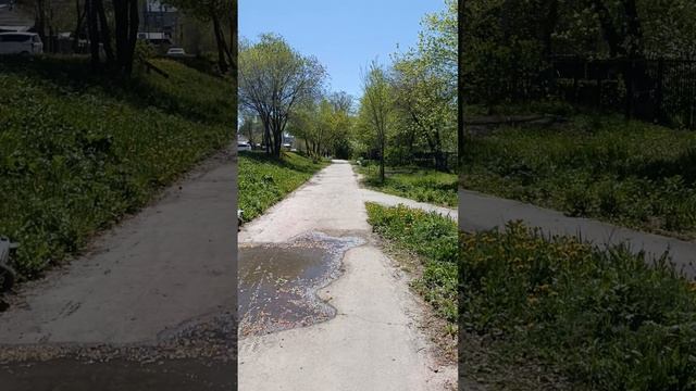 Прогулка.