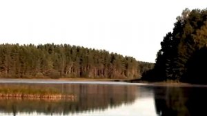 Звук природы. Пение птицы Пищуха короткопалая в деревне