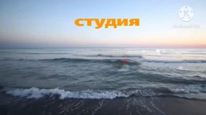 как выглядит заставка студии тигра 1999 году до 2027 году