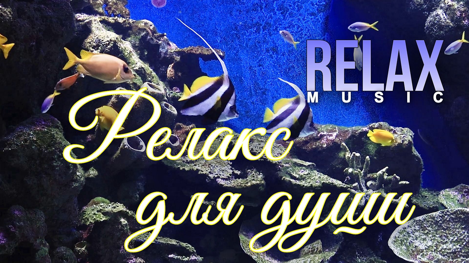 RELAX | РАССЛАБЛЯЮЩАЯ КРАСИВАЯ МУЗЫКА — МЕДИТАЦИЯ, АКВАРИУМ И МЯГКОЕ ПОГРУЖЕНИЕ В СПОКОЙСТВИЕ