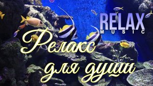 RELAX | РАССЛАБЛЯЮЩАЯ КРАСИВАЯ МУЗЫКА — МЕДИТАЦИЯ, АКВАРИУМ И МЯГКОЕ ПОГРУЖЕНИЕ В СПОКОЙСТВИЕ