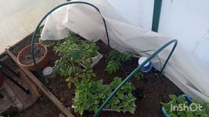 //218// С утра достали картошку с подвала.Вечером поехали в гости к родственникам.