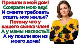 Истории из жизни|Свекровь требовала кв|Аудио рассказы|Аудиокниги слушать онлайн|Жизненные истории