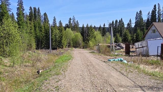 ижс 15 сот Добрянка продажа.mp4