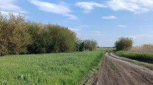 Пение птиц, природа Кубани весной! 10.05.2026г.