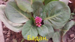 Влог:Пришла посылка! Ура у нас потеплело!