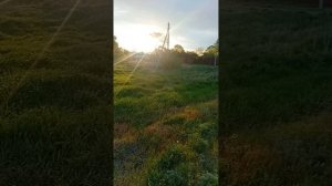 🌞20260511_052037