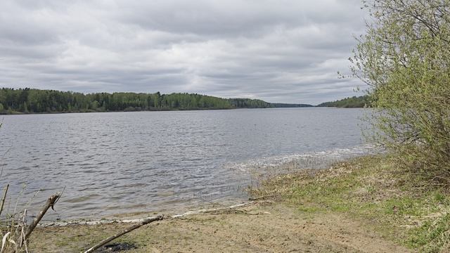 Уводьское вдхр. ч.10. Май 2026