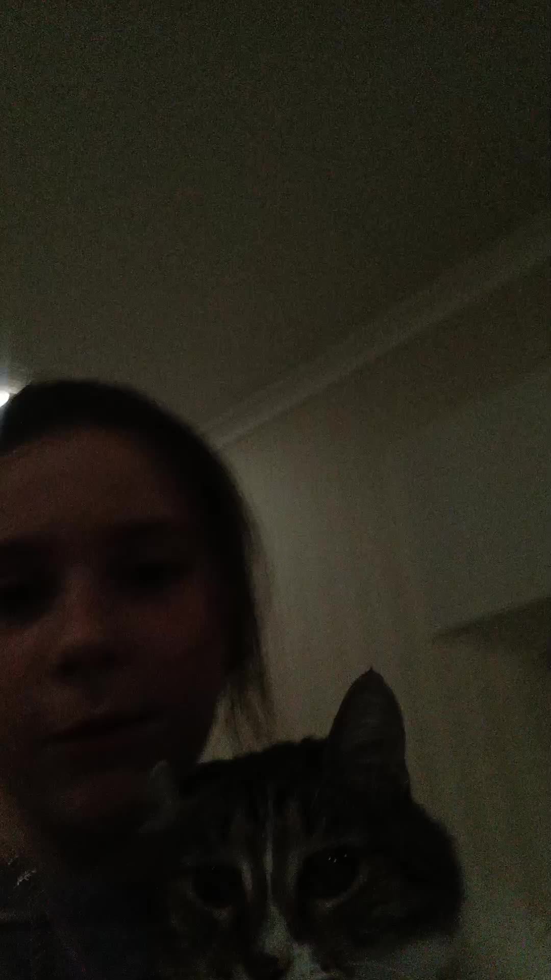 моя кошка 😸 смотреть онлайн