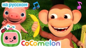 Яблоки и бананы # Новая Серия✨ # CoComelon на русском — Детские песенки
