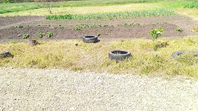 Траншея под воду