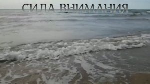СИЛА НАШЕГО ВНИМАНИЯ