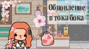 Обновление в тока бока