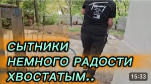 САМВЕЛ АДАМЯН, СЫТНИКИ, НЕМНОГО РАДОСТИ ХВОСТАТЫМ..